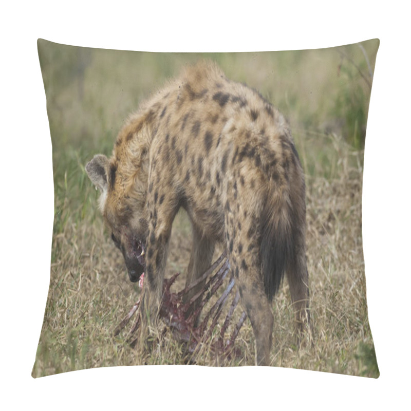 Personality  Hyena In Wild Nature Of South Africa Pillow Covers