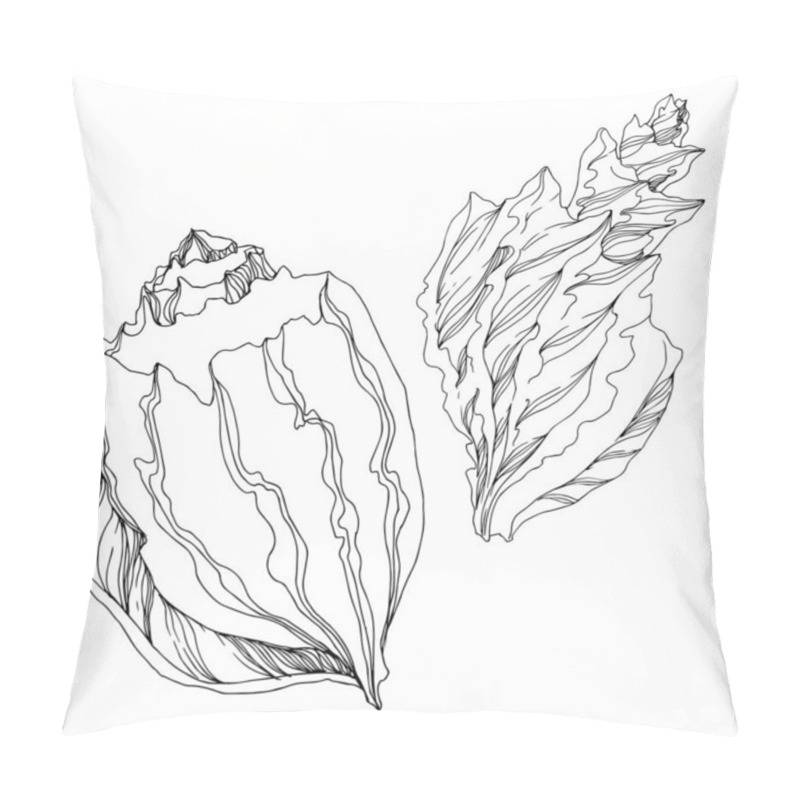 Personality  Vector Summer Beach Seashell Tropical Elements. Black And White  Pillow Covers