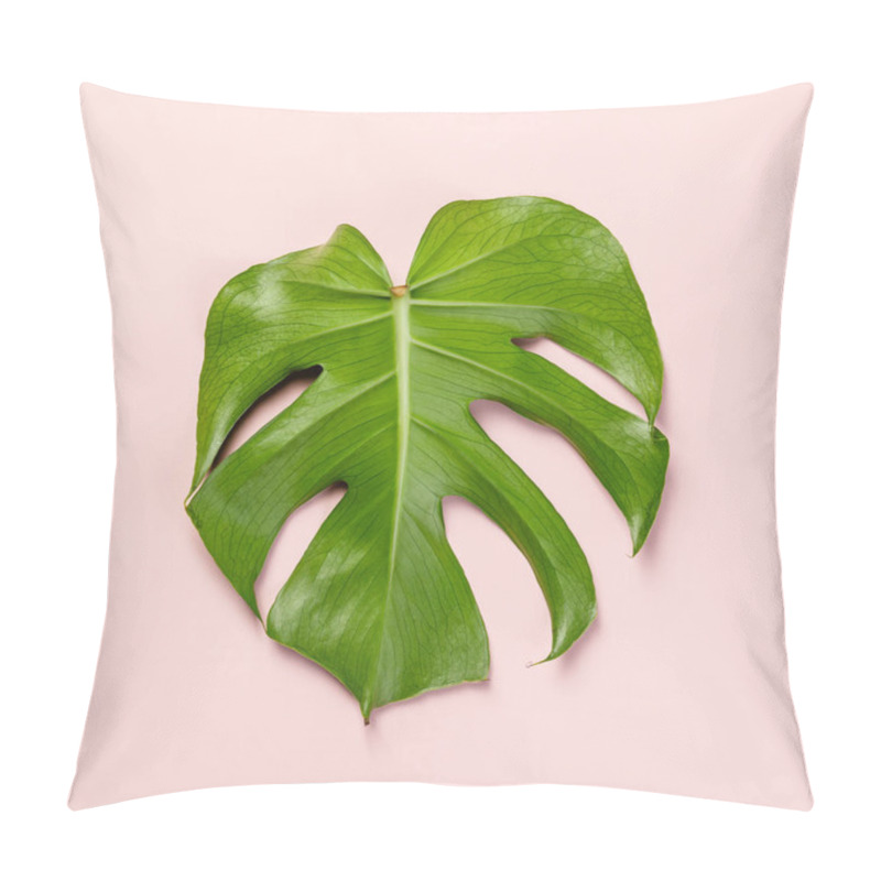 Personality  Monstera Leaf Pillow Covers