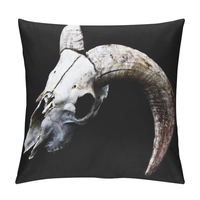 Personality  Abstract Ram Sheep Deer Skull  Pillow Covers