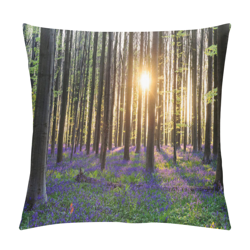 Personality  Sunrise Illuminating Bluebells Pillow Covers