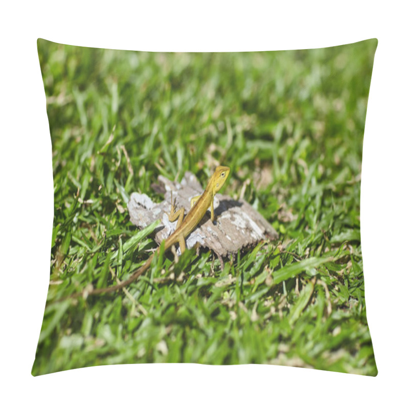 Personality  Lizard Sitting On The Grass Pillow Covers