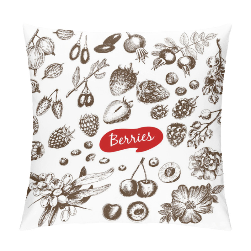 Personality  Berries Collection In Sketch Style Pillow Covers