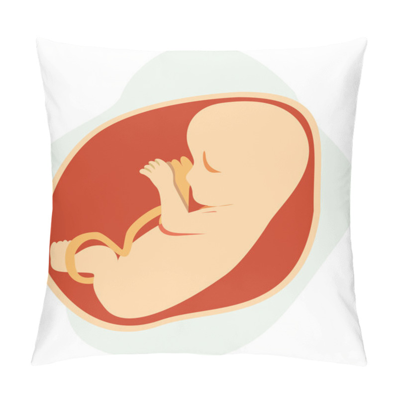 Personality  Mother Fetus Pregnant, Baby, Inside The Belly. Ideal For Catalogs, Informative And Pregnancy Guides Pillow Covers