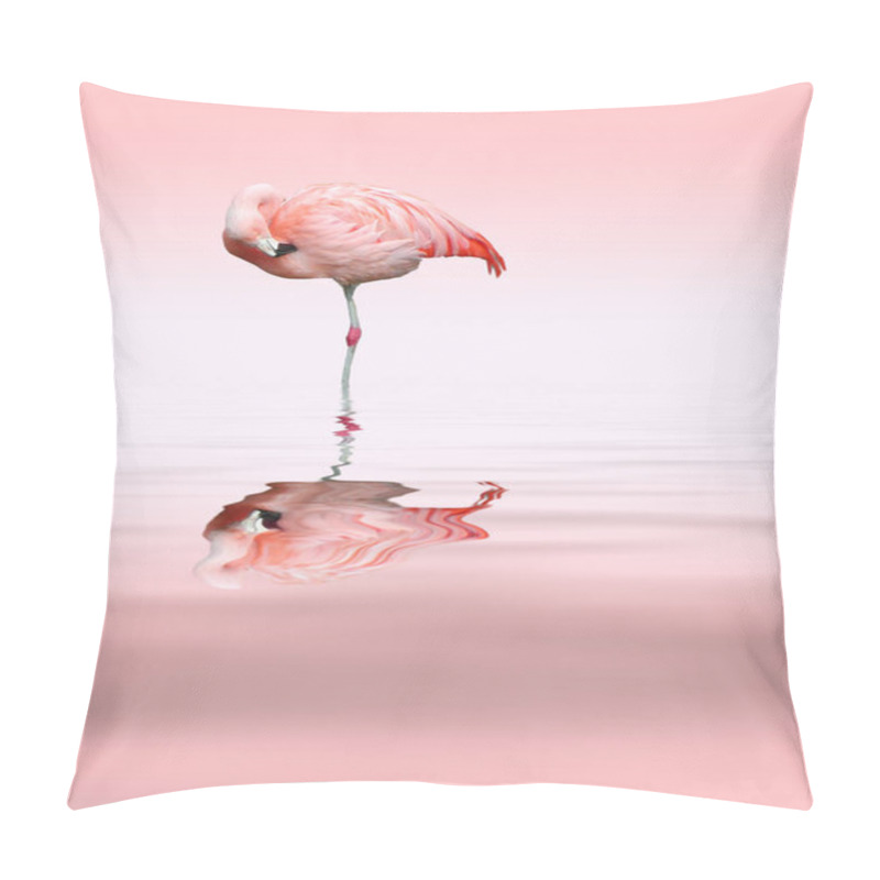 Personality  Scenic View Of Beautiful Bird At Nature Pillow Covers