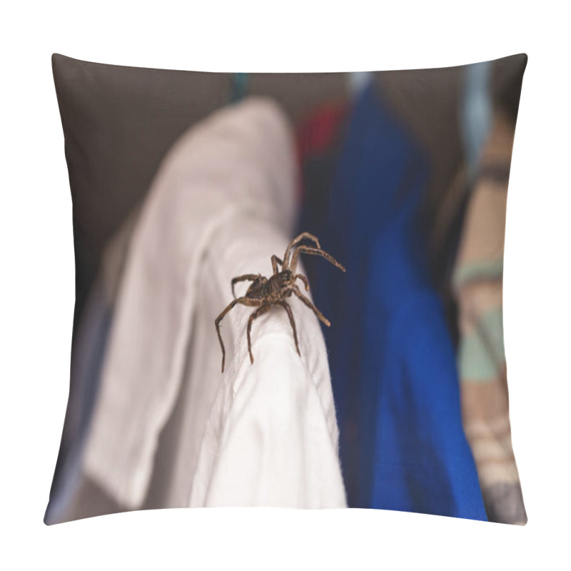 Personality  Arachnophobia, Poisonous Spider Inside Wardrobe, Danger, Venomous Animal. Fear Concept. Pillow Covers