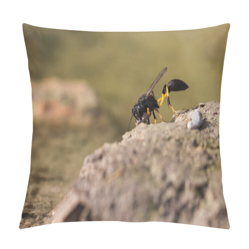 Personality  Mud Dauber Wasp Sceliphron Spirifex On Mud Grasping Round Mud Pellet Prior To Flying Off To Build Nest. Malta, Mediterranean Pillow Covers