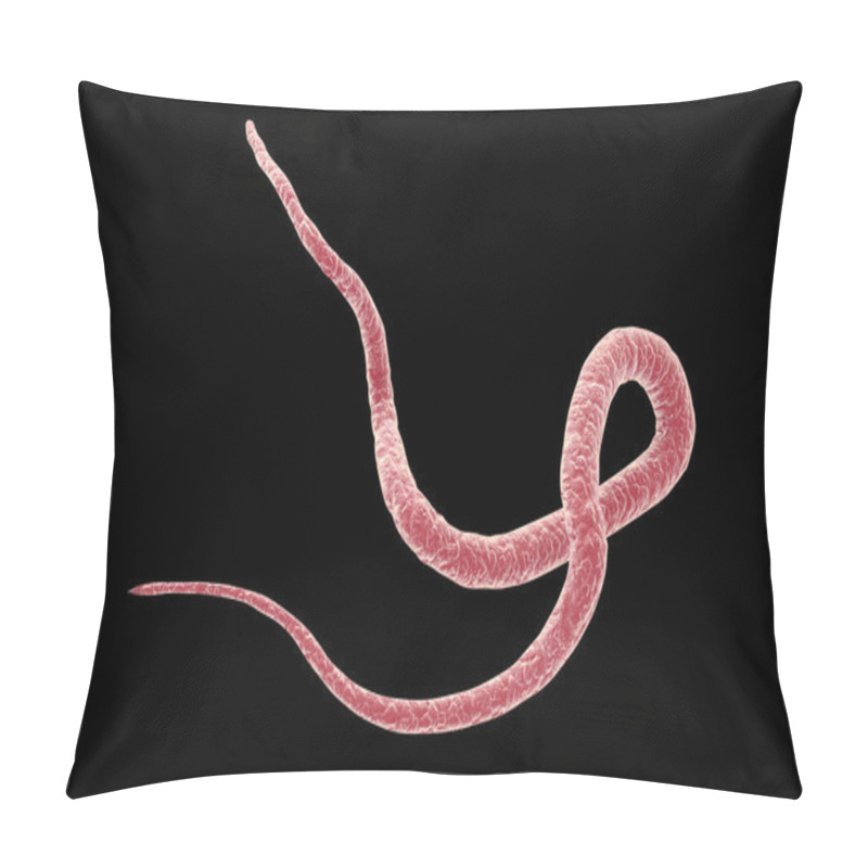 Personality  Parasite Ascaris Lumbricoides Pillow Covers