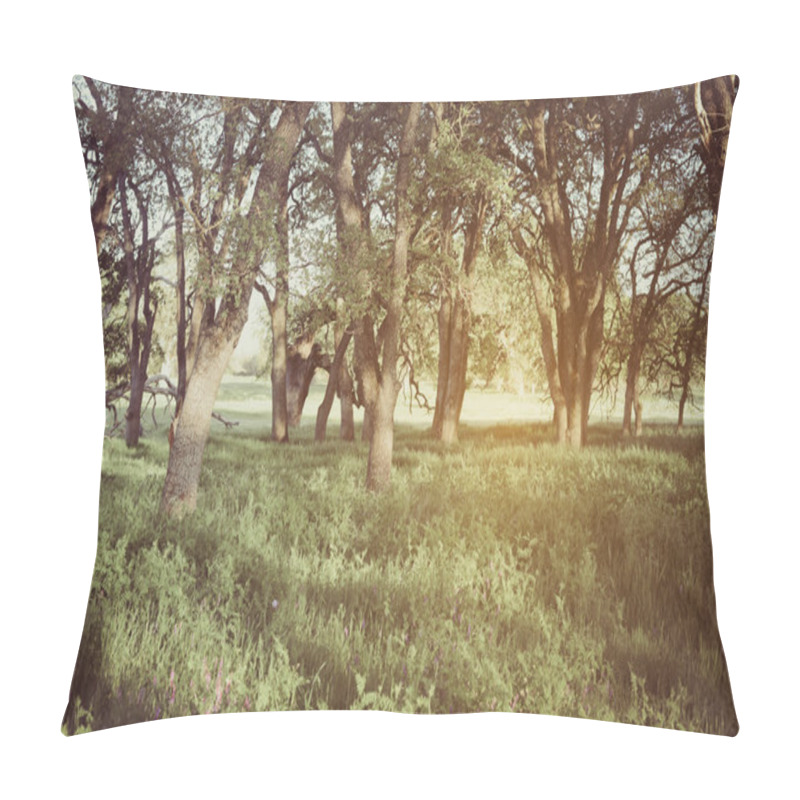 Personality  Beautiful Nature As Background Pillow Covers