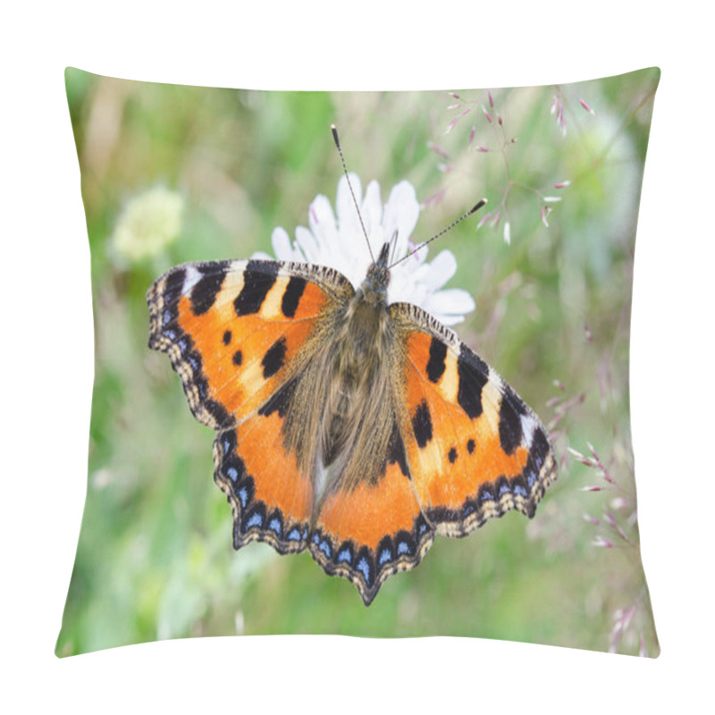 Personality  Butterfly On A White Flower. Small Tortoiseshell - Aglais Urticae Pillow Covers