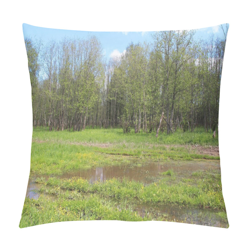 Personality  Spring Forest Landscape. Trees With Intensely Green Leaves In The Forest. Pillow Covers