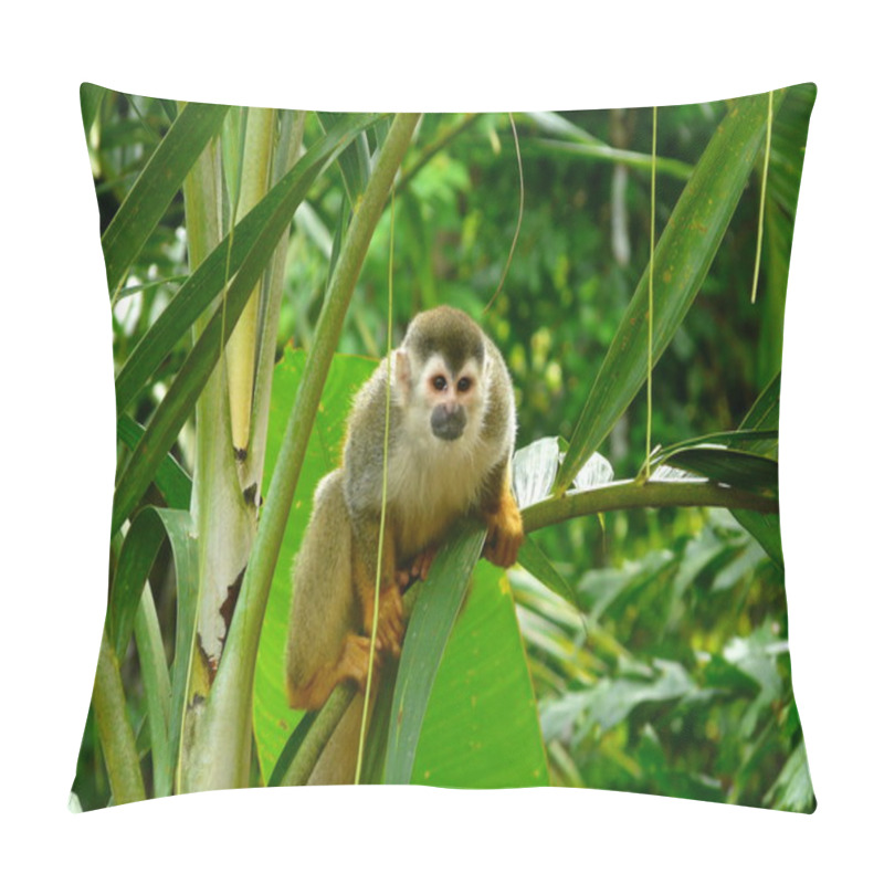 Personality  Lovely Squirrel Monkey In Manuel Antonio National Park, Costa Rica Pillow Covers