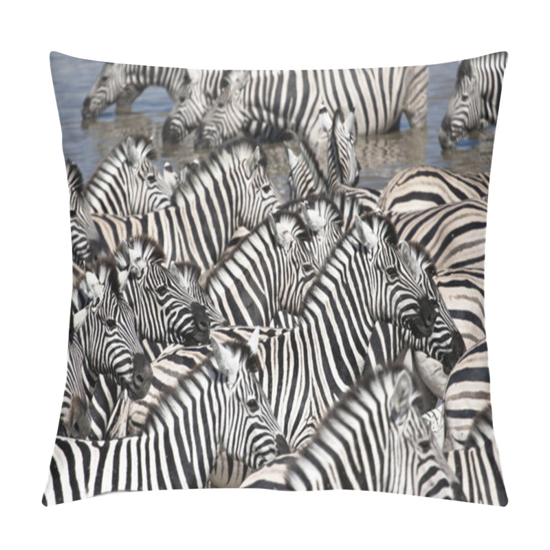 Personality  Zebras On Watering Hole Pillow Covers