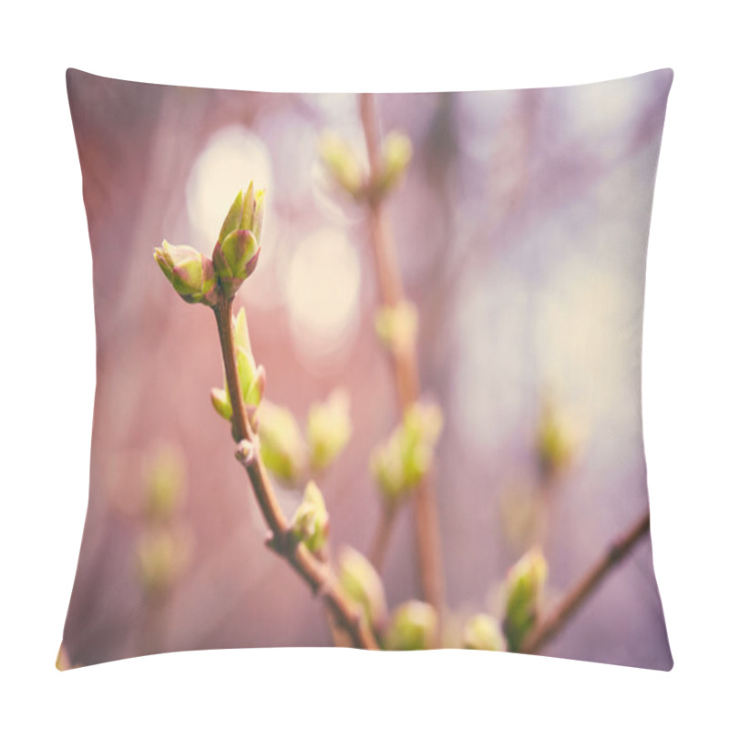 Personality  First Spring Buds Pillow Covers