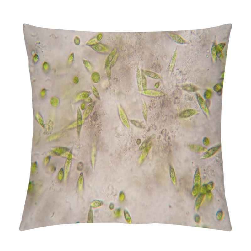 Personality  Microscopic organisms from the pond. Euglena Gracilis pillow covers