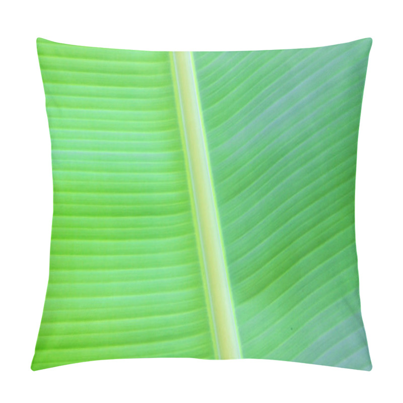 Personality  Banana Leaf Texture  Pillow Covers