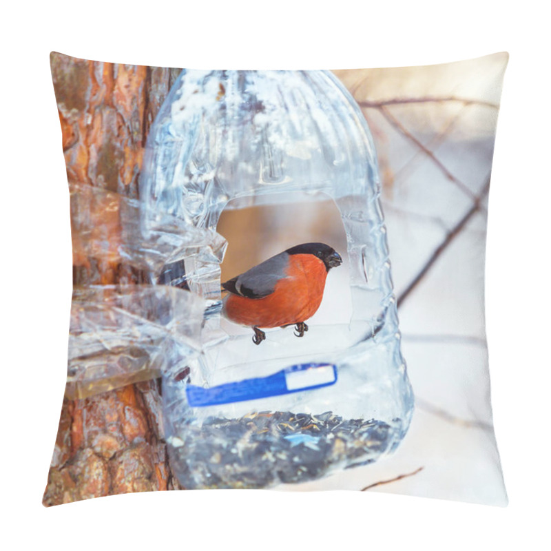 Personality  Bird Feeder. Winter, Western Siberia, Russia Pillow Covers