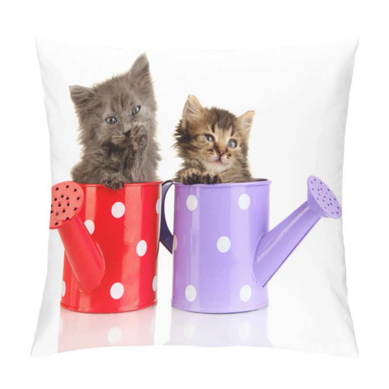 Personality  Small Kittens Sitting In Watering Can Isolated On White Pillow Covers