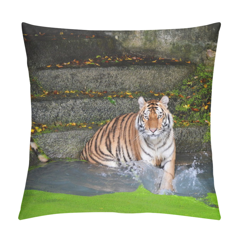 Personality  Tiger Hitting The Water Pillow Covers