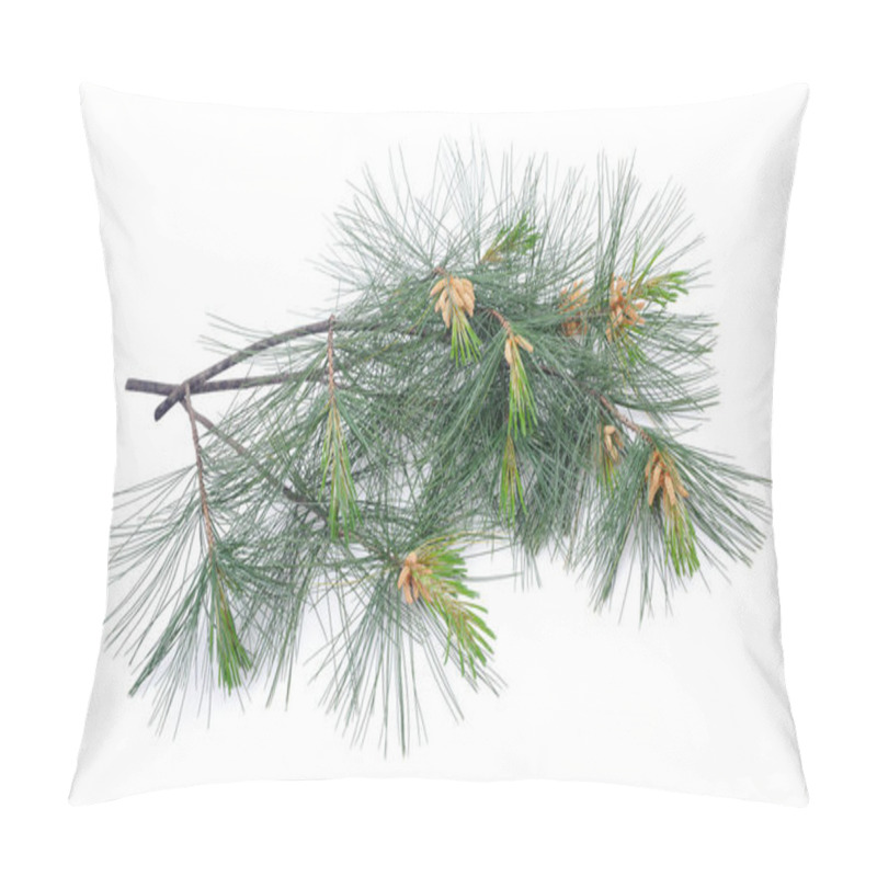 Personality  Swiss Stone Pine Pillow Covers