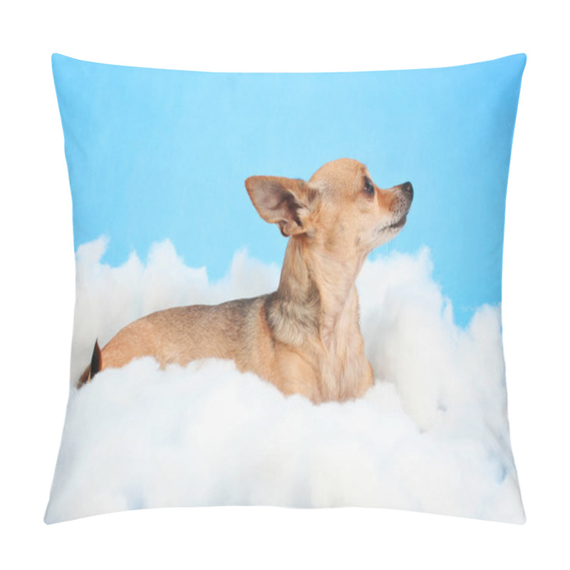 Personality   A Cute Chihuahua On Clouds Pillow Covers