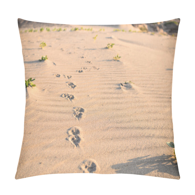 Personality  Dogs Track In Sand Pillow Covers