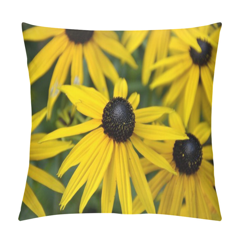 Personality  Black Eyed Susan Flower Pillow Covers