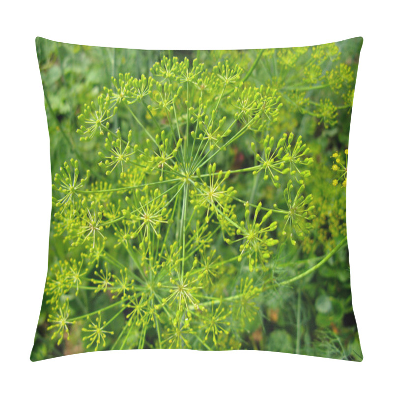 Personality  Dill Plants Pillow Covers