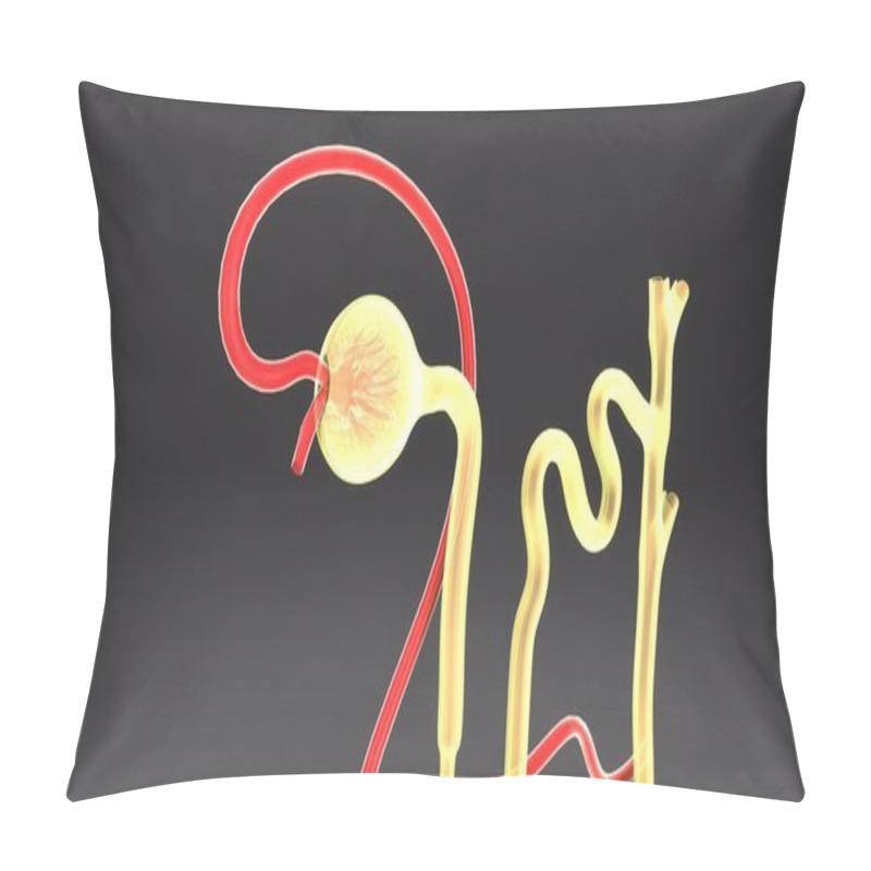 Personality  Urine Formation Illustration Pillow Covers