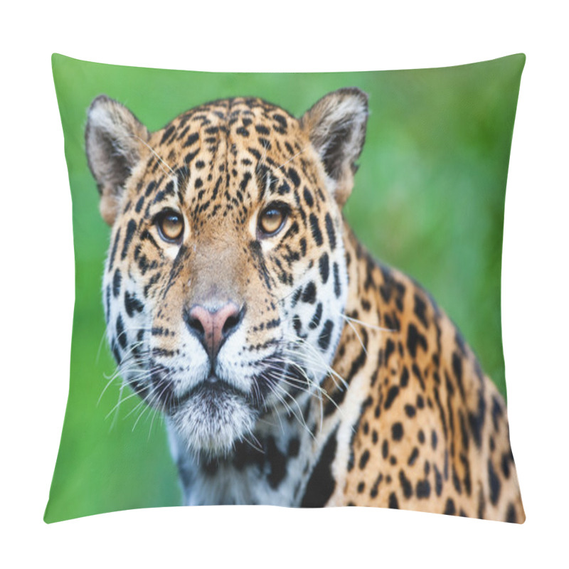 Personality  Jaguar - Panthera Onca. Pillow Covers