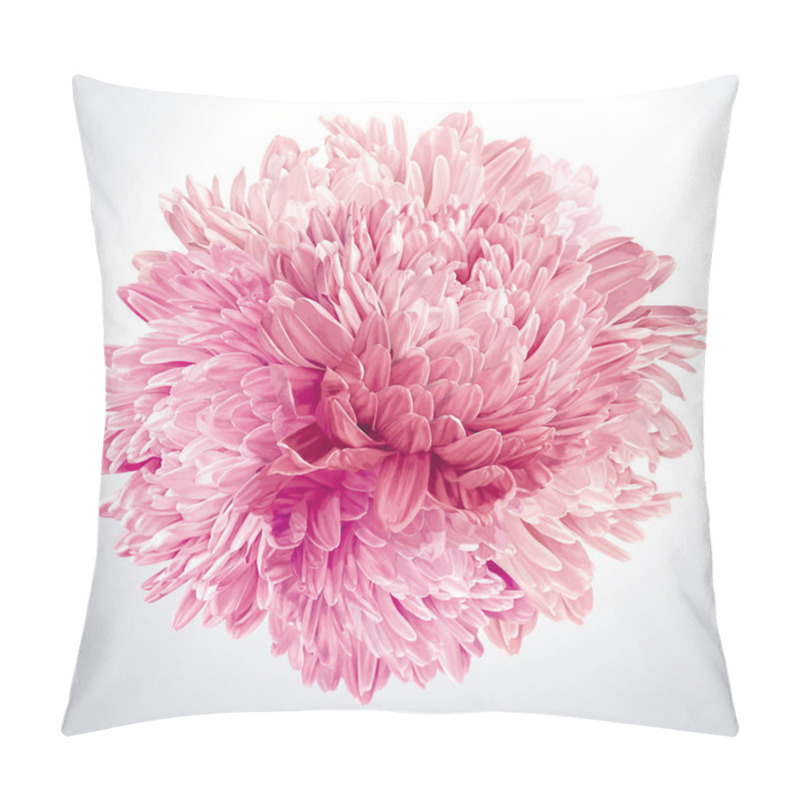 Personality  Pink Asters And Chrysanthemums Sphere Pillow Covers