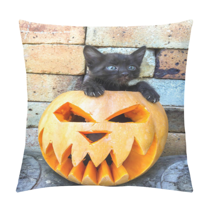 Personality  Halloween Feast Day Of All Saints Pumpkin Carved In The Form Of A Scary Face Black Cat Fear-averse To Decorating The Background Pillow Covers