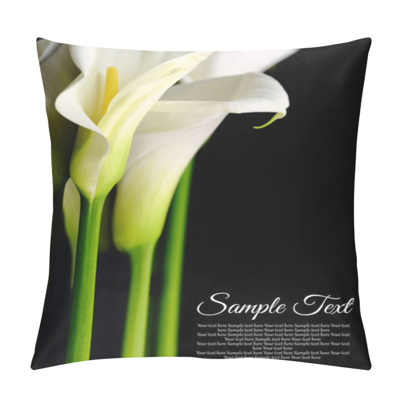 Personality  Beautiful White Calla Lilies With Reflection On Black Background Pillow Covers