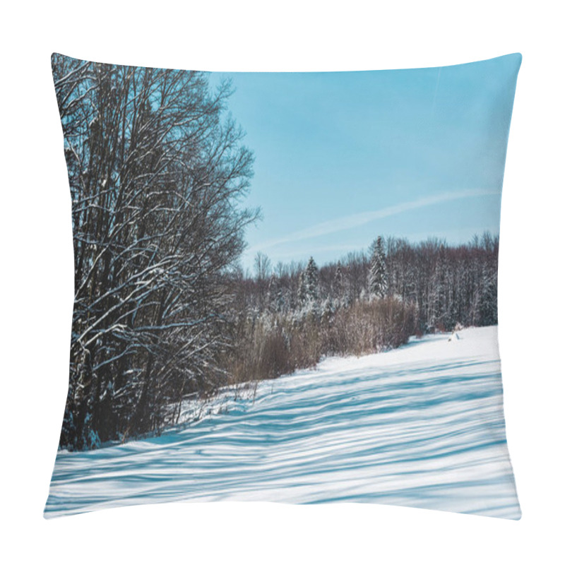 Personality  Sunny Snowy Day In Forest In Carpathian Mountains Pillow Covers