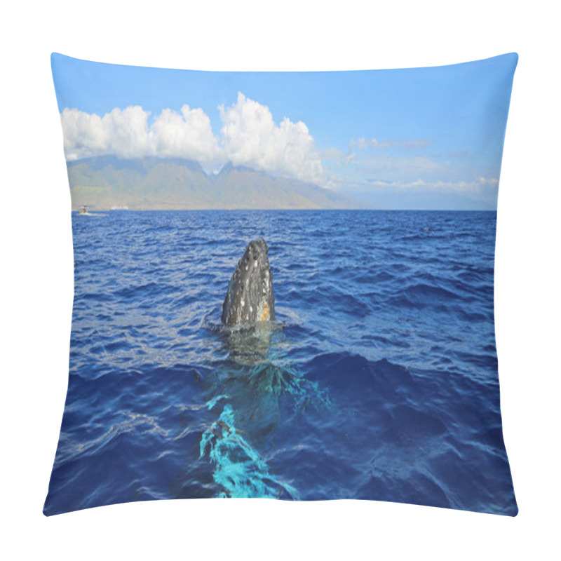 Personality  Breaching Whale And Maui - Humpback Whale - Maui, Hawaii Pillow Covers