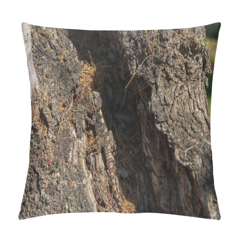 Personality  Small Lizard Among The Stones On The Beach Pillow Covers