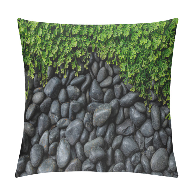 Personality  Black River Rocks Pebbles Stone With Green Fern Moss For Nature Background Copy Space For Text. Pillow Covers