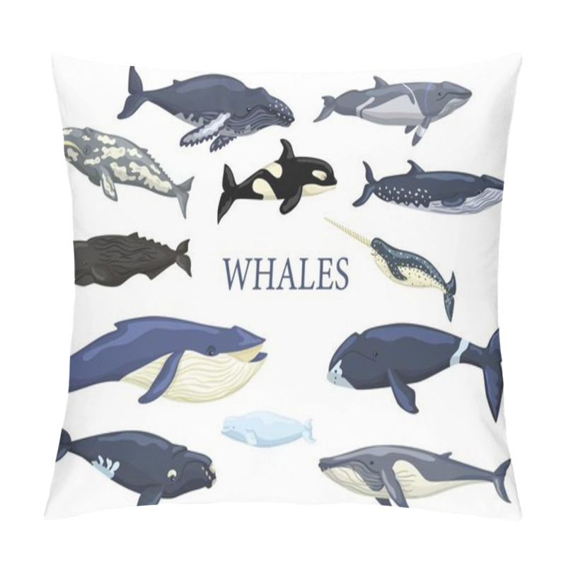 Personality  Set Whales Isolated On White Background. Collection Ocean Animals Blue Whale, Gray, Humpback, Fin, Minke, Bowhead, Right, Beluga, Cachalot, Narwhal And Orca. Vector Illustration For Any Purposes. Pillow Covers