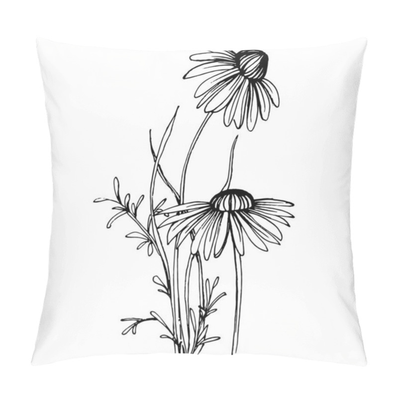 Personality  Chamomile By Hand Drawing. Daisy Whee Pillow Covers