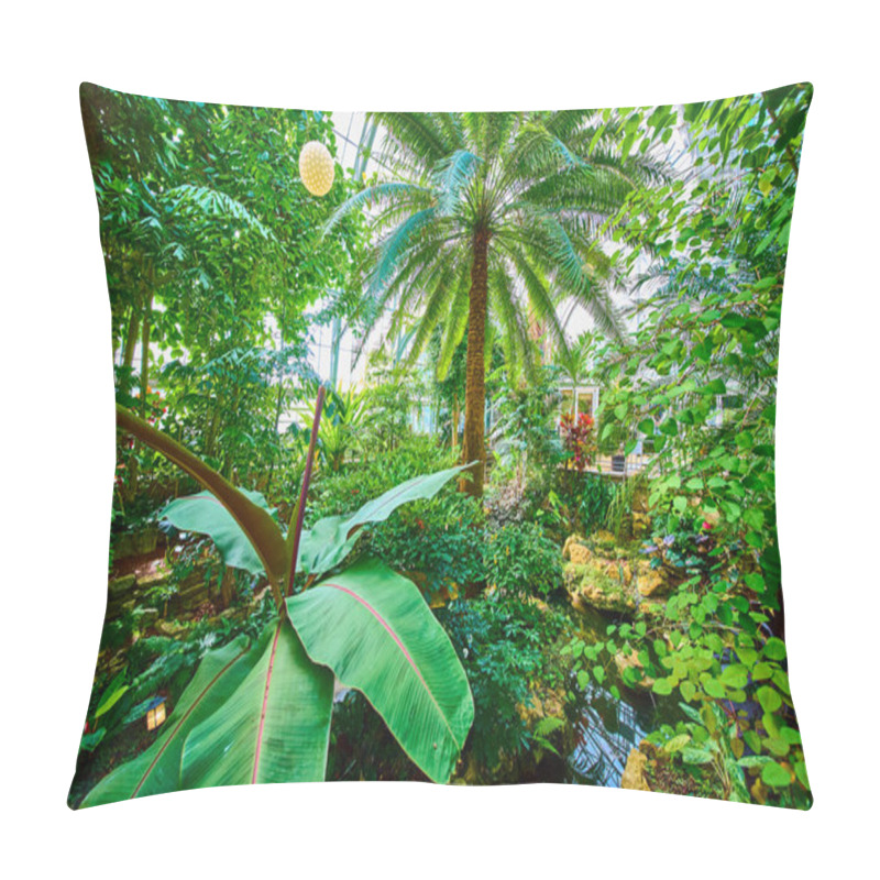 Personality  Discover Tranquility In A Lush Tropical Greenhouse At The Cincinnati, Ohio Conservatory. Towering Palm Trees And Vibrant Foliage Create An Indoor Oasis Of Natural Beauty And Escape. Pillow Covers