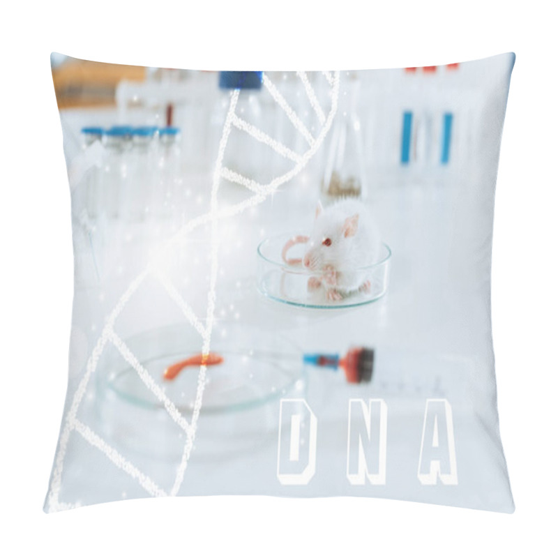 Personality  Selective Focus Of White Mouse Near Syringe, Petri Dish With Blood Sample And Containers With Medicines, Dna Illustration Pillow Covers