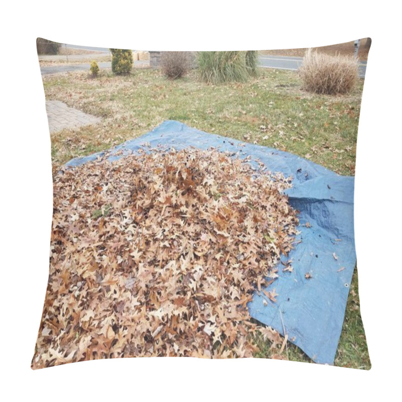 Personality  Blue Tarp And Cleaning Fallen Brown Leaves In Autumn Or Winter Pillow Covers