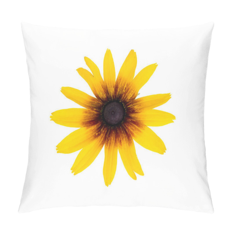 Personality  Rudbeckia Summer Yellow Flower Isolated On White Background Pillow Covers