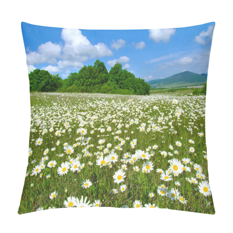 Personality  Idyllic Daisy Meadows Pillow Covers