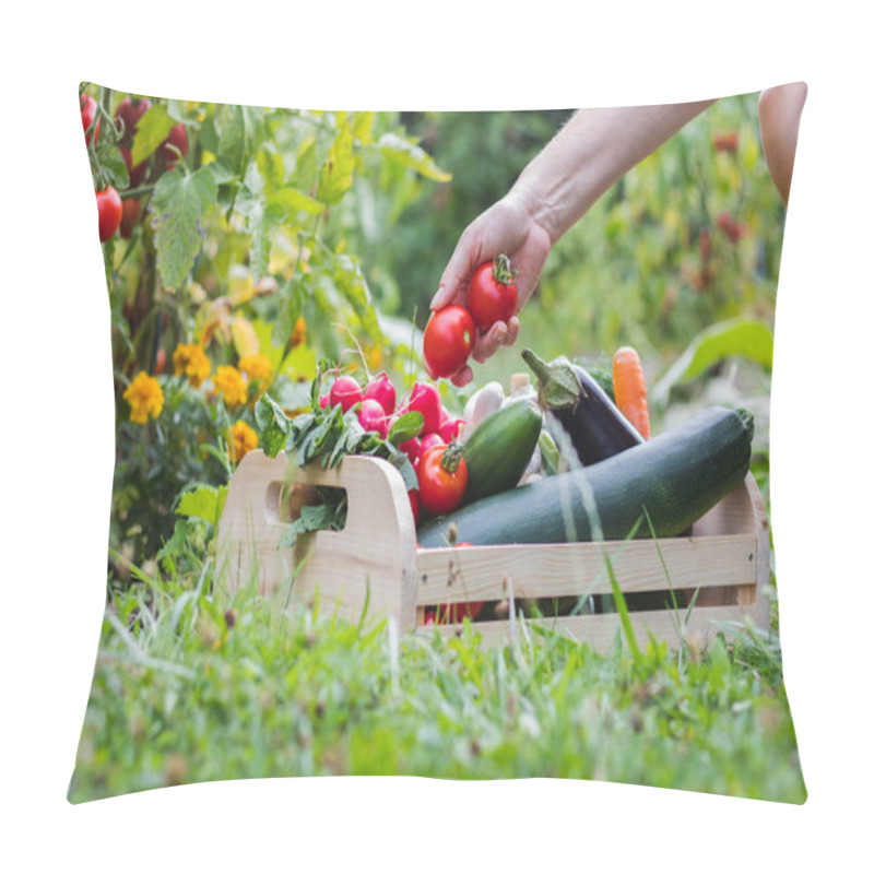 Personality  Woman Hands Picking Fresh Tomatoes To Wooden Crate With Vegetables. Organic Food From Garden Pillow Covers