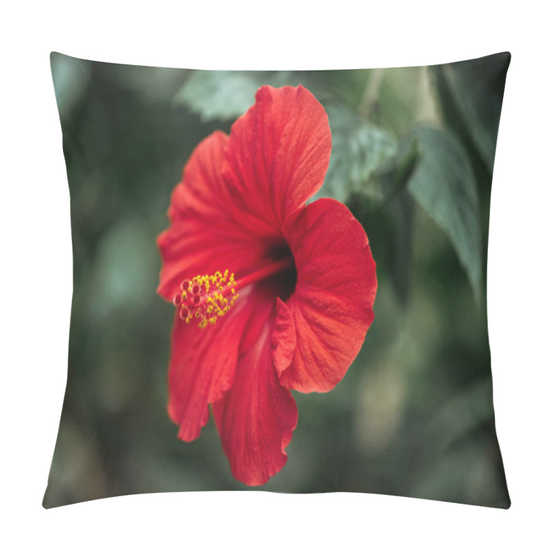 Personality  Close Up View Of Red Flower With Green Foliage On Blurred Background Pillow Covers