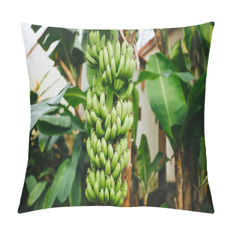 Personality  Bananas Pillow Covers