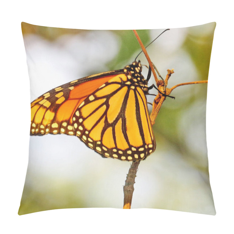 Personality  Thornhill The Monarch Butterfly On A Tree 2017 Pillow Covers