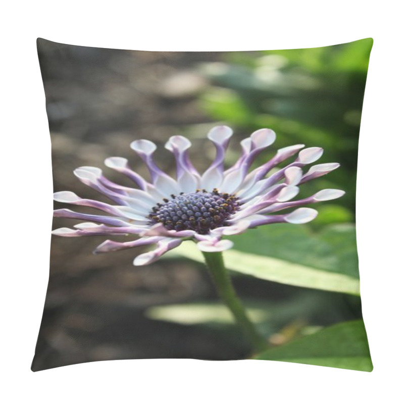 Personality  Curly Petals Pillow Covers