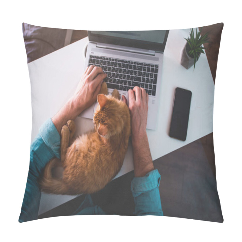 Personality  Ginger Cat Sleeping On Man's Hands. Man Typing On Laptop While Working From Home Pillow Covers